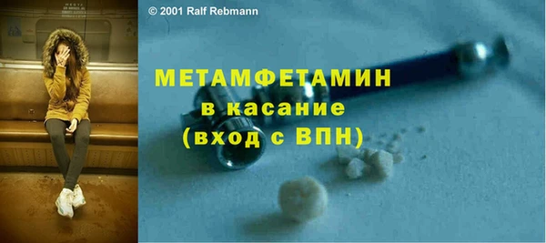 сатива Пересвет