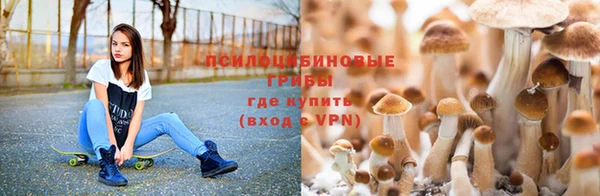 мяу мяу мука Арсеньев