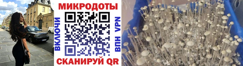 Галлюциногенные грибы Cubensis  Окуловка 